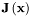 $\mathbf{J}\left( \mathbf{x} \right)$